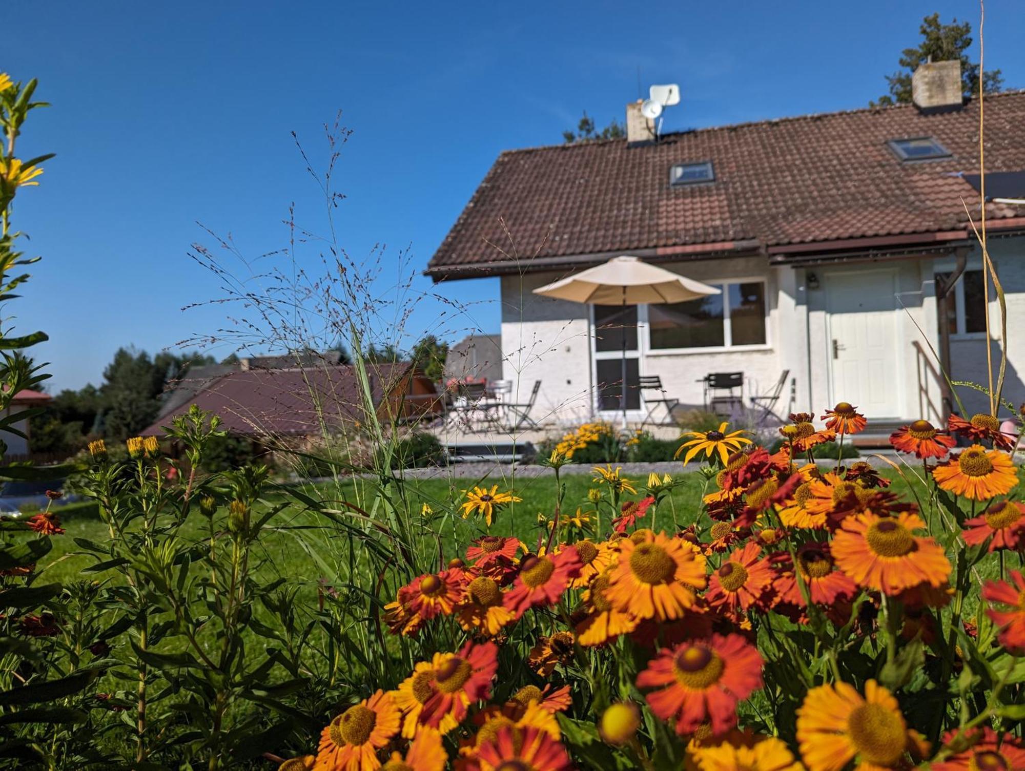 Penzion U Vichu Cervena Voda Exterior foto