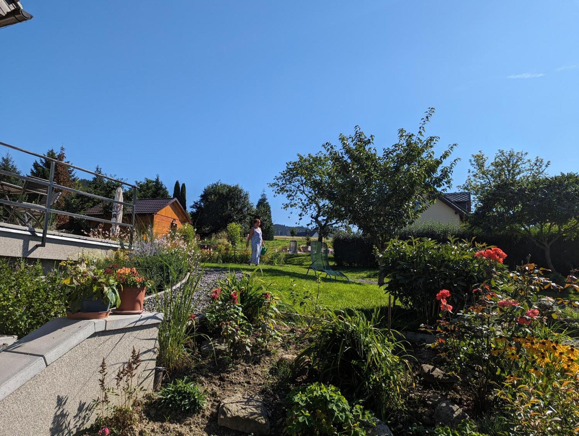 Penzion U Vichu Cervena Voda Exterior foto